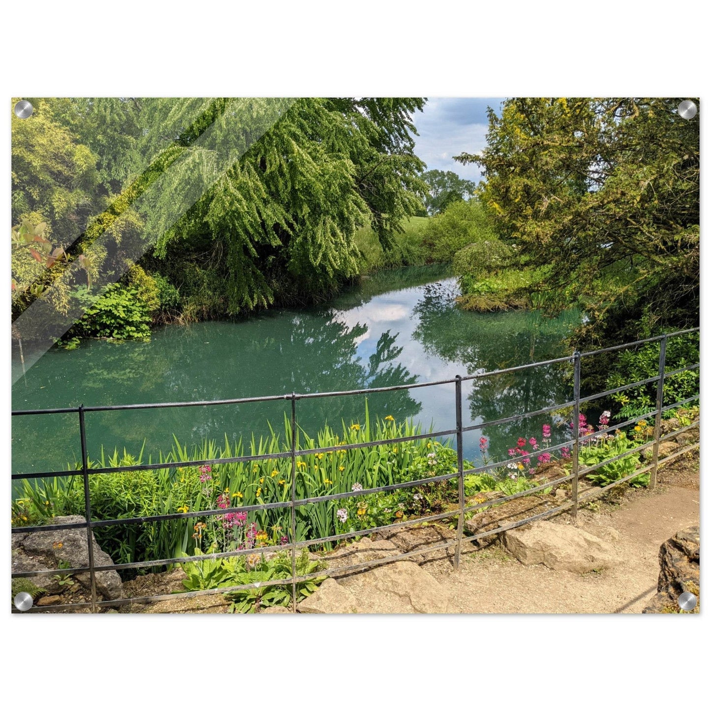 Arboretum Acrylic Print - PerriWorks Publishing