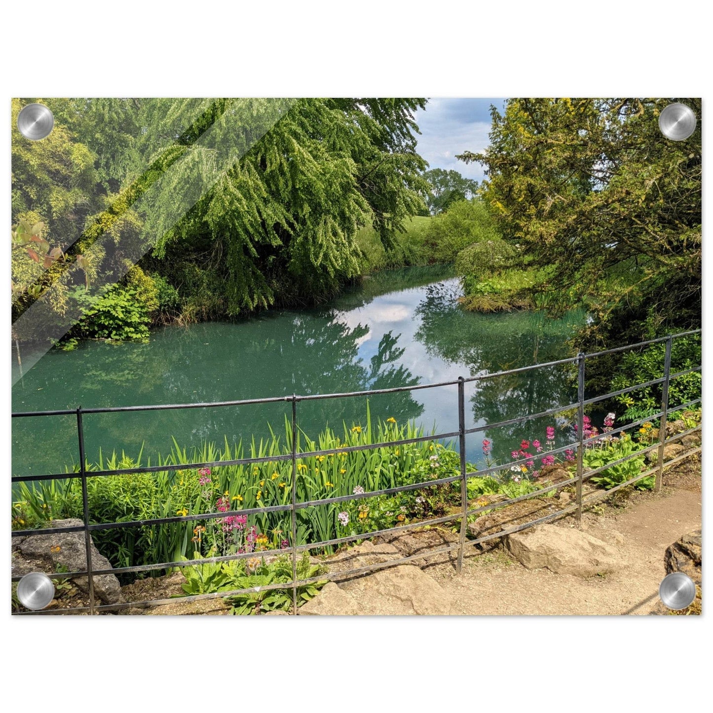 Arboretum Acrylic Print - PerriWorks Publishing