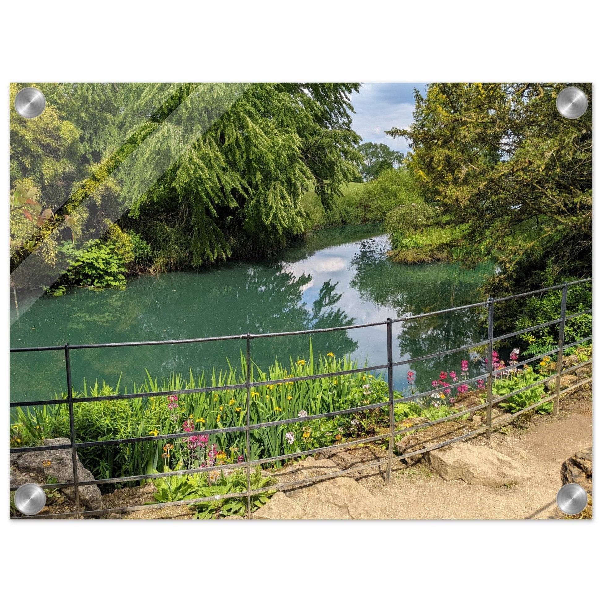 Arboretum Acrylic Print - PerriWorks Publishing