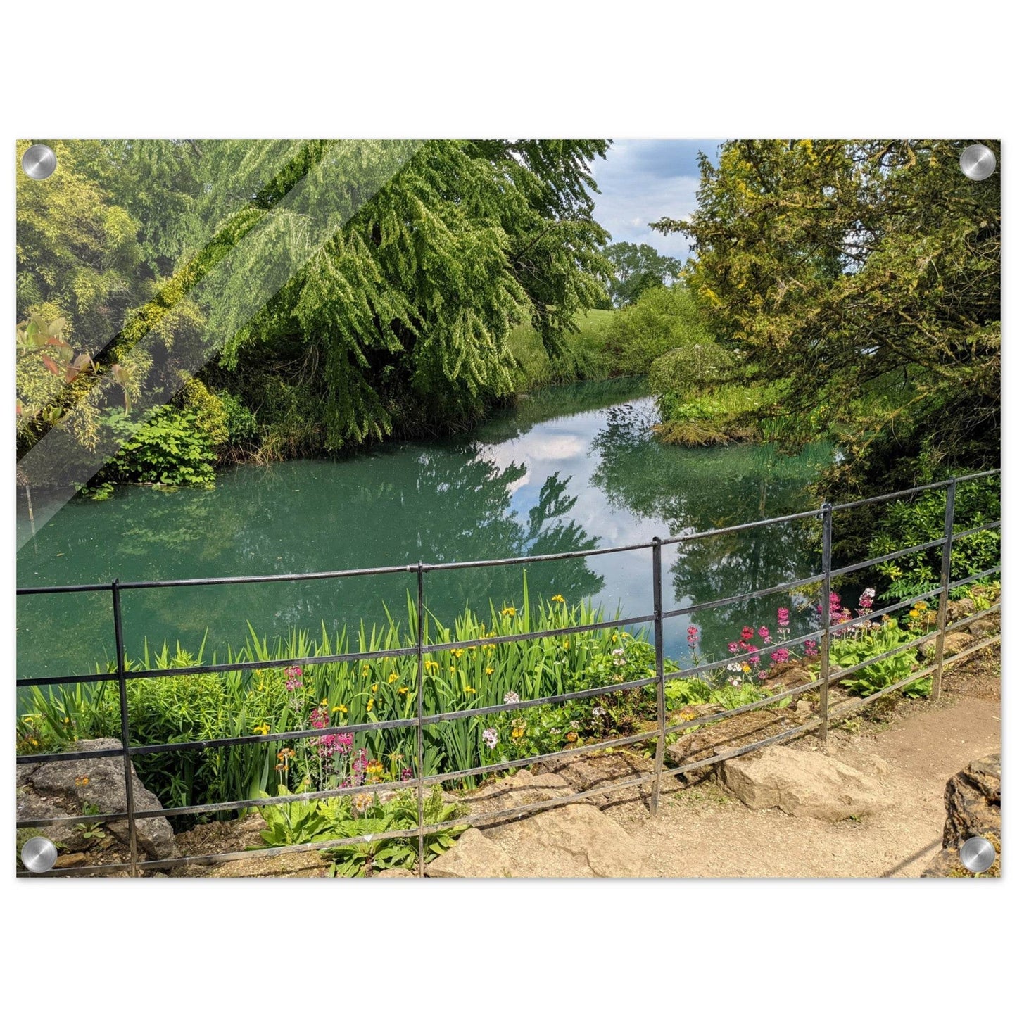 Arboretum Acrylic Print - PerriWorks Publishing